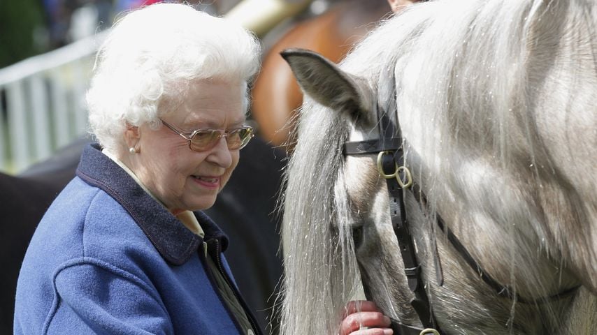 Queen Elizabeth II. bei der Royal Windsor Horse Show 2011