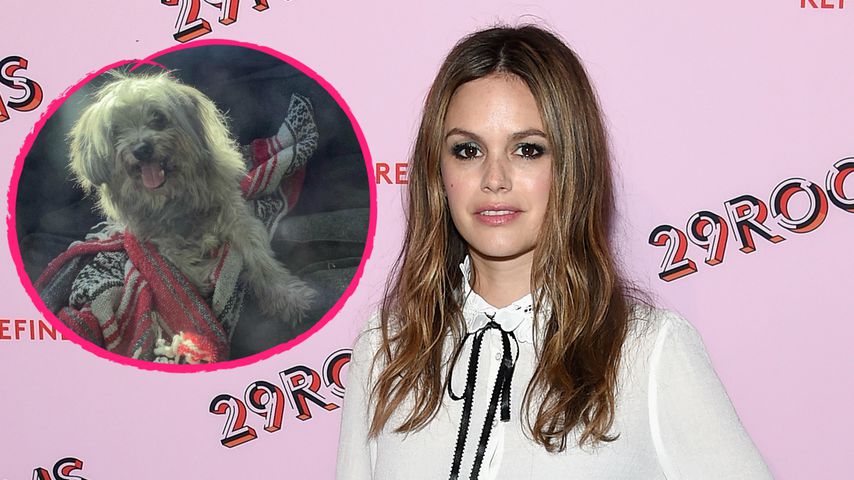 Rachel Bilson trauert: Ihr Hund Thurmen Murmen ist gestorben