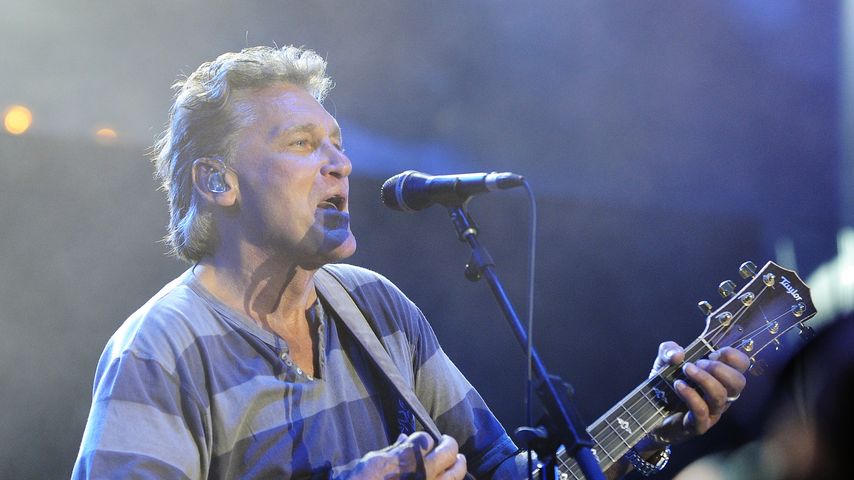 Rainhard Fendrich, Musiker