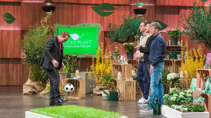 Ralf Dümmel, Bernhard Unger, Michael Ballack und Thomas Hüster bei "Die Höhle der Löwen"