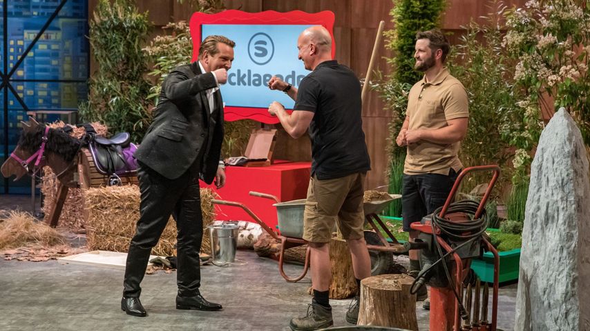 "Perfekter Partner": Socklaender sind happy mit ihrem Löwen