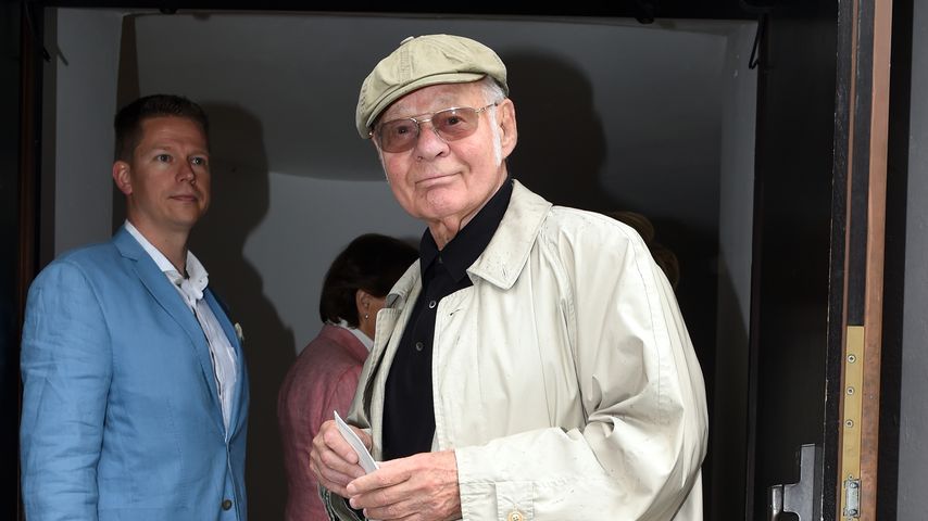 Ralf Wolter, Schauspieler