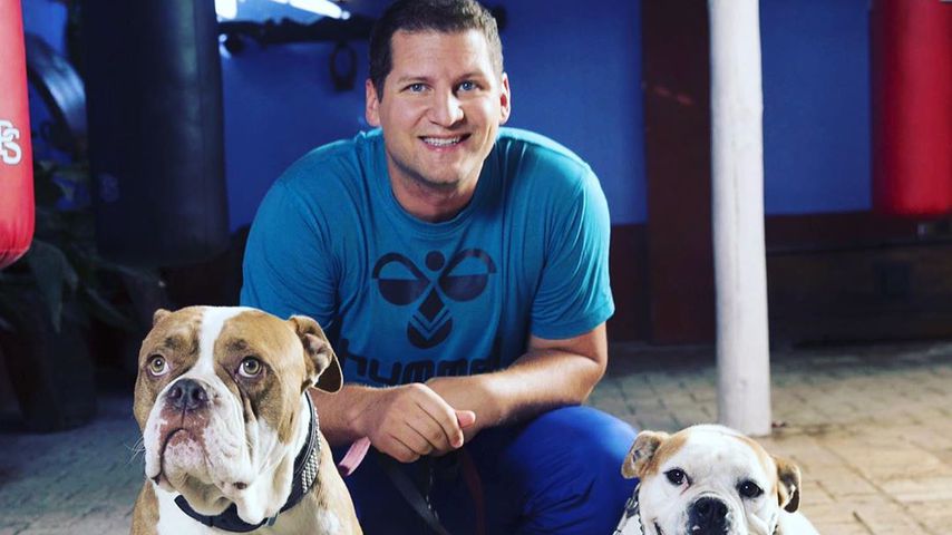 Ramin stellt klar: Hunde waren "zu jeder Sekunde" versorgt