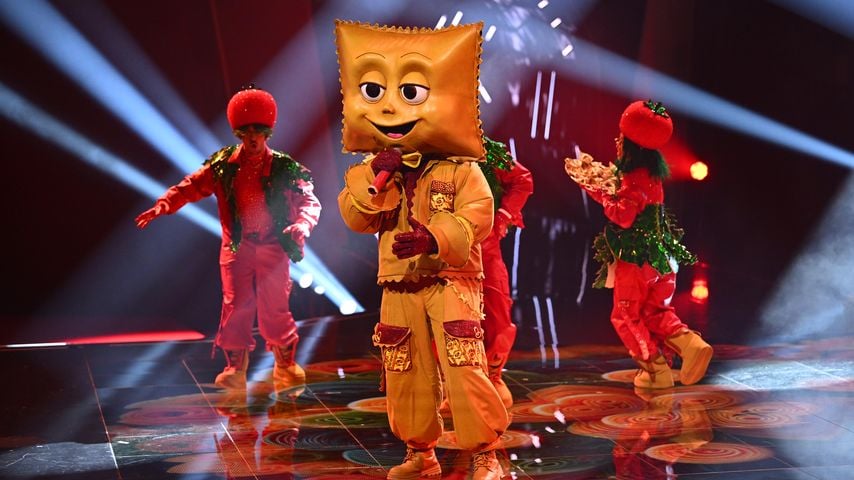 Rave-ioli im "The Masked Singer"-Finale 2025