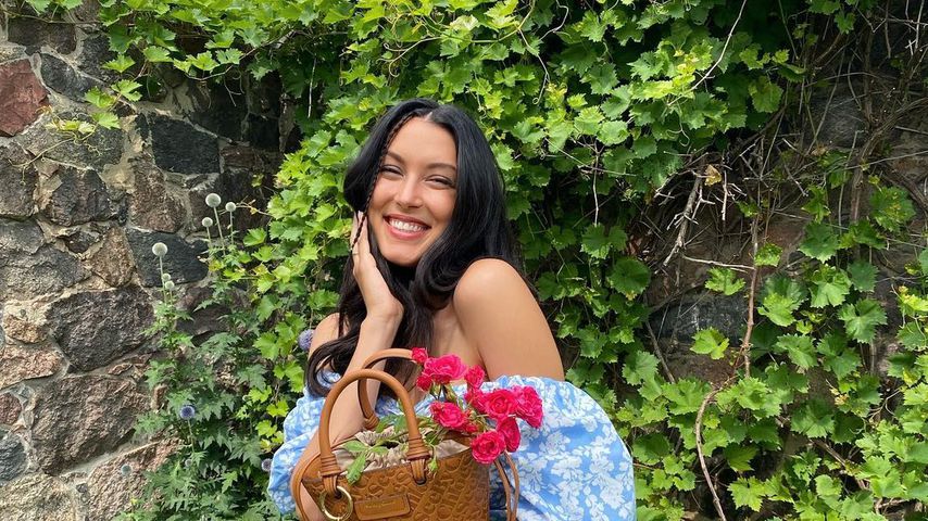 Rebecca Mir, TV-Star