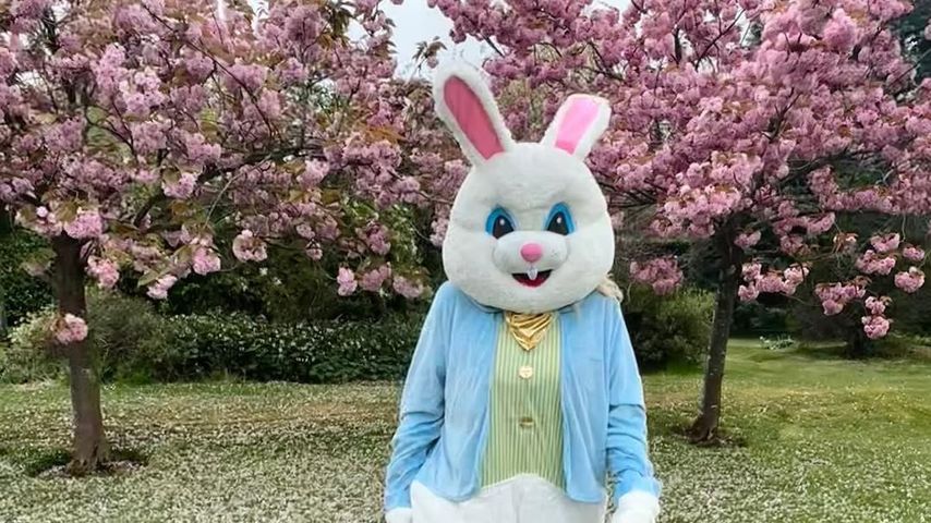 Rebel Wilson als Osterhase im April 2025