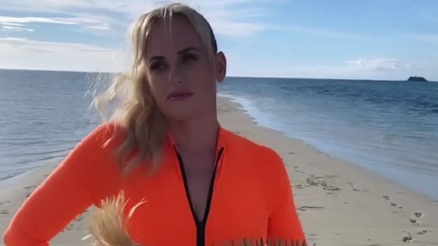 Rebel Wilson, Schauspielerin