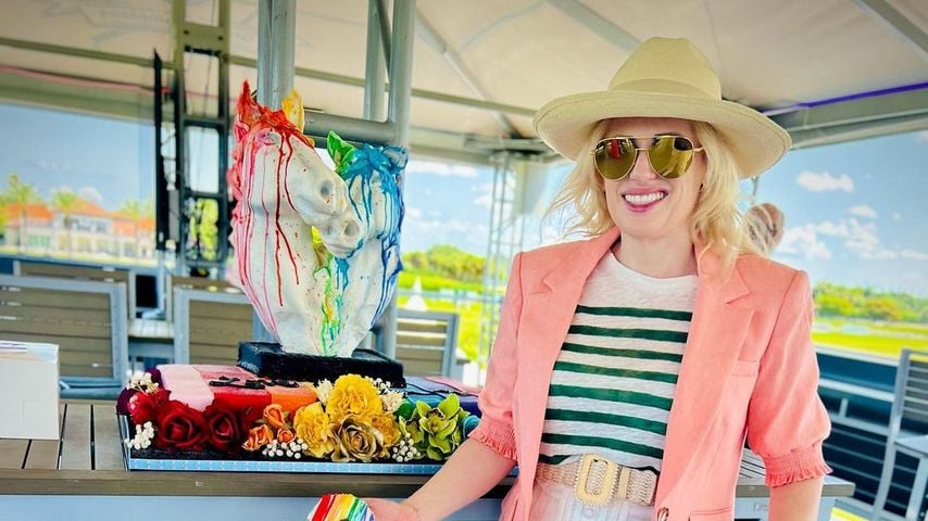 Rebel Wilson, Schauspielerin