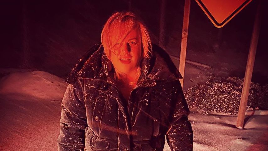 Rebel Wilson, Schauspielerin
