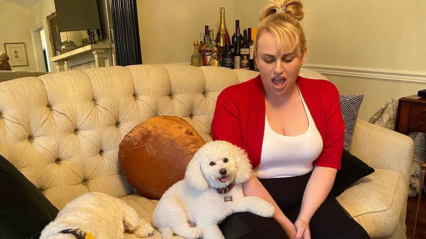 Hammer-Figur: Rebel Wilson flasht mit neuem Schlankheitsfoto