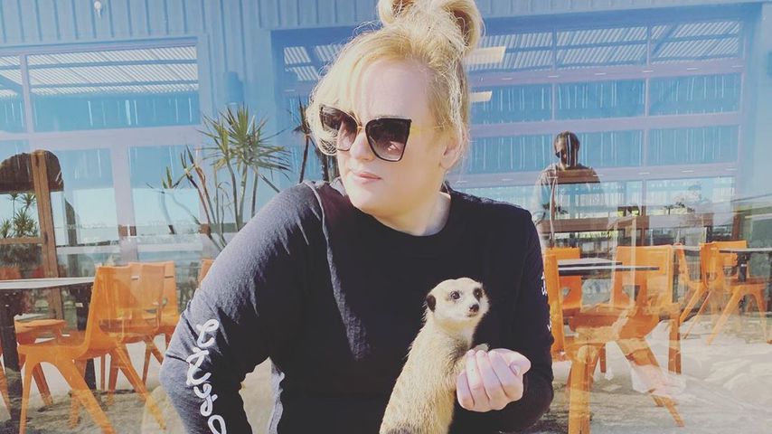 Keine Insta-Pause? Rebel Wilson teilt tierisch-süße Fotos