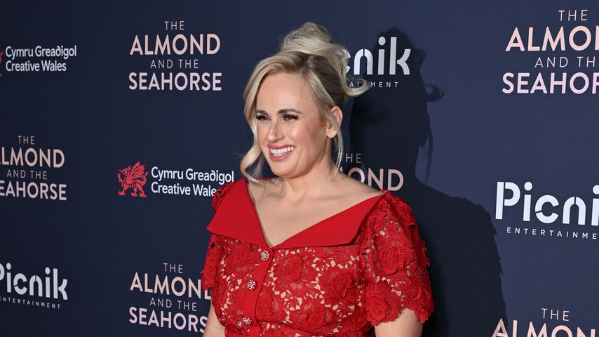 Rebel Wilson, Schauspielerin