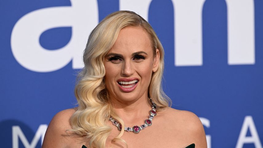 Rebel Wilson, Schauspielerin