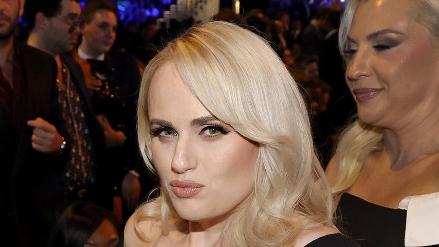 Rebel Wilson, Schauspielerin