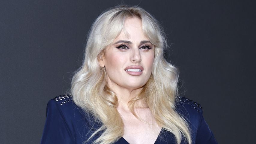 Rebel Wilson, Schauspielerin