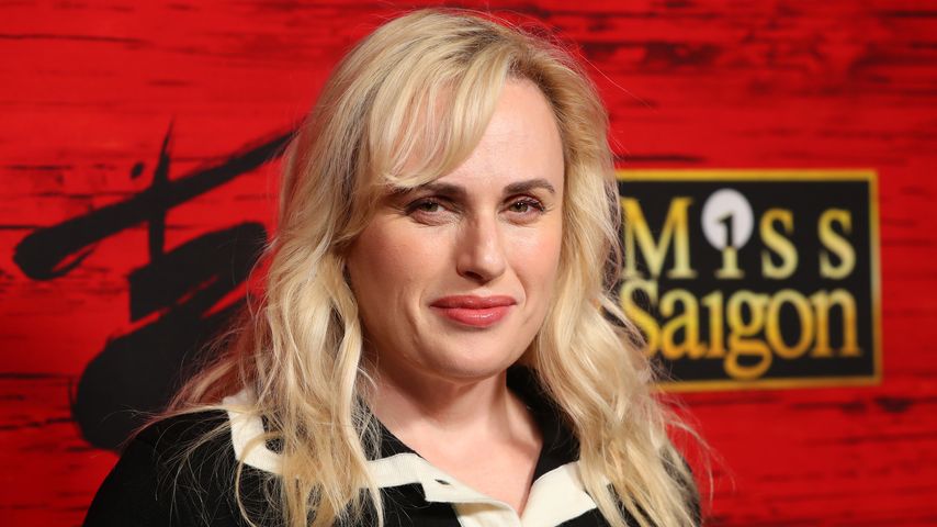 Rebel Wilson, Schauspielerin