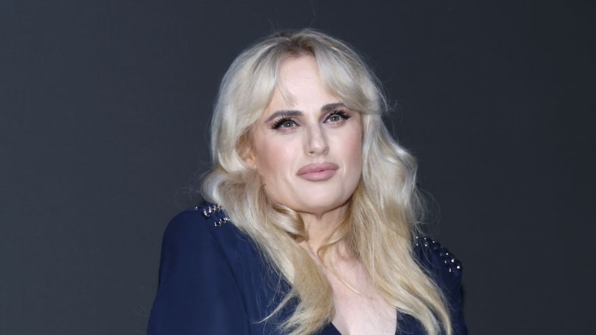 Rebel Wilson, Schauspielerin