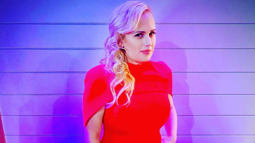 Rebel Wilson, Schauspielerin