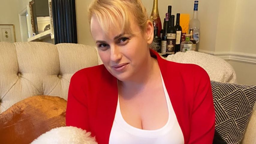 Rebel Wilson, Schauspielerin