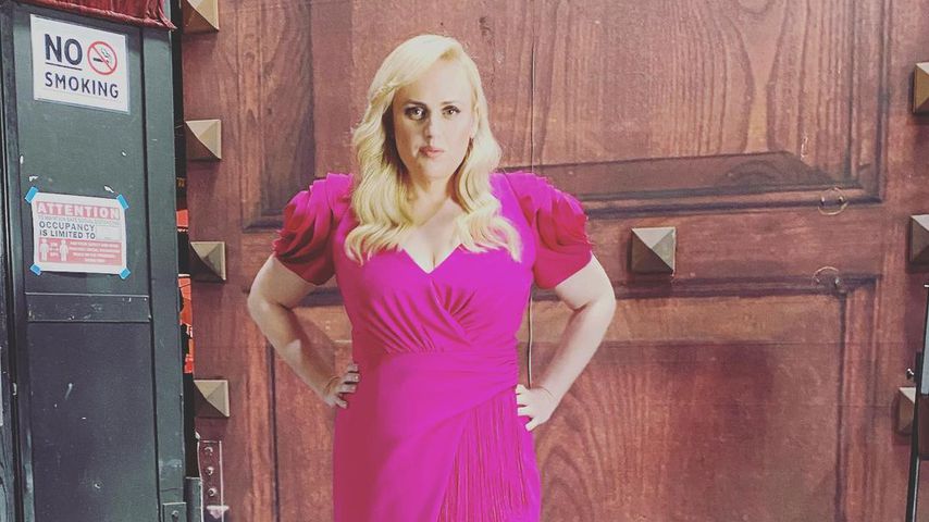 Rebel Wilson, Schauspielerin