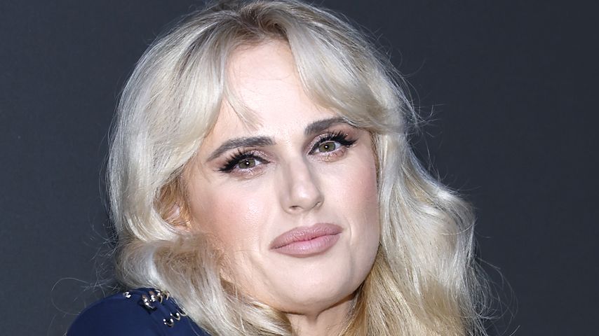 Rebel Wilson, Schauspielerin
