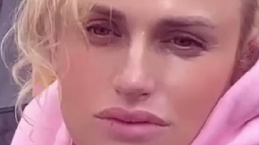 Rebel Wilson, Schauspielerin