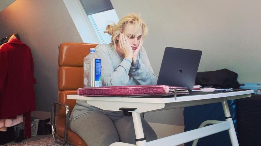 Rebel Wilson, Schauspielerin