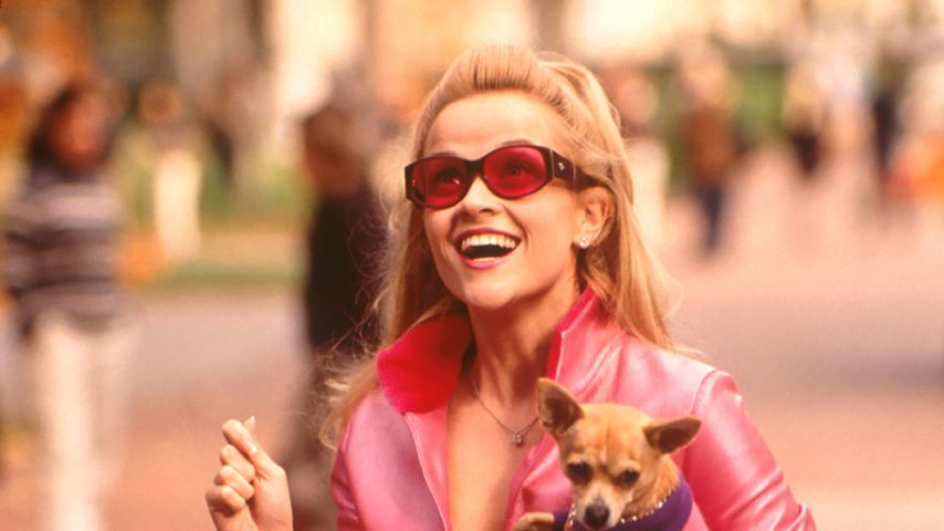 Elle Woods ist zurück: "Natürlich blond" geht in Serie