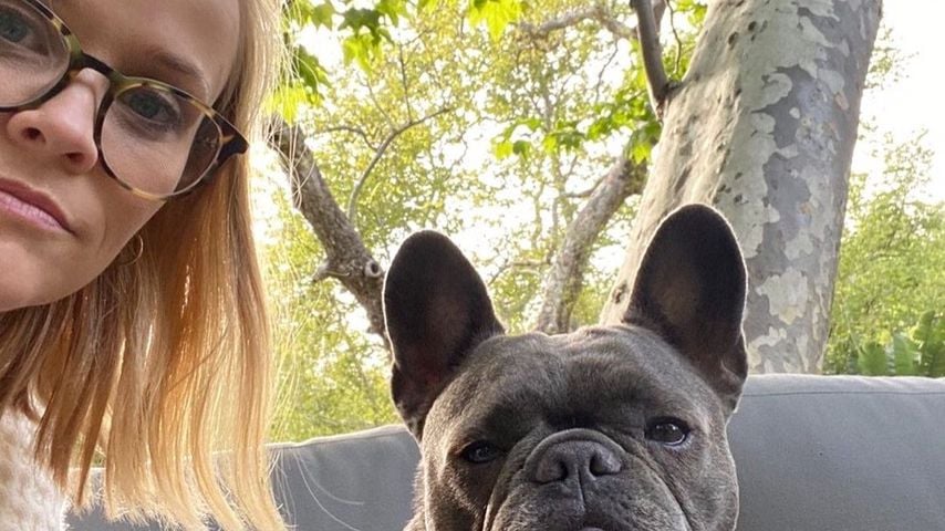 "Herz gebrochen": Reese Witherspoon trauert um ihren Hund