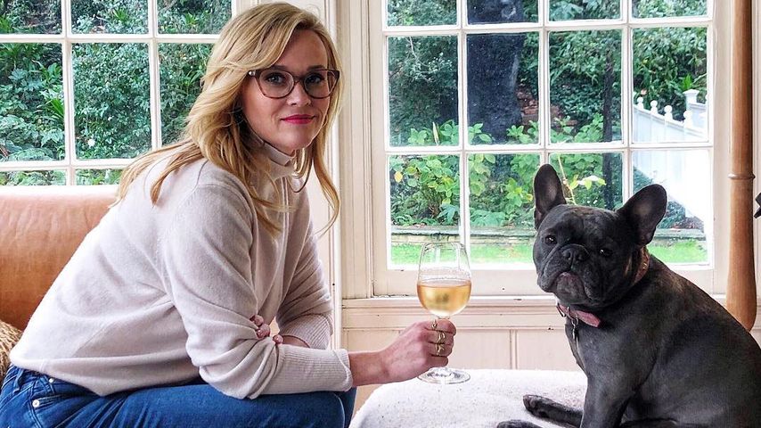 Reese Witherspoon lässt sich ihren Hund hinterhertragen