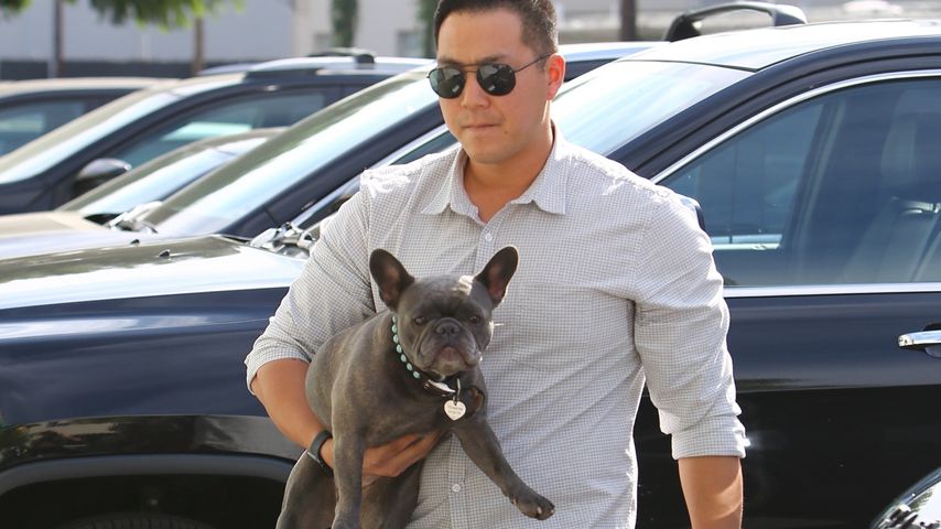 Reese Witherspoons Hund Pepper auf dem Arm von Service-Personal