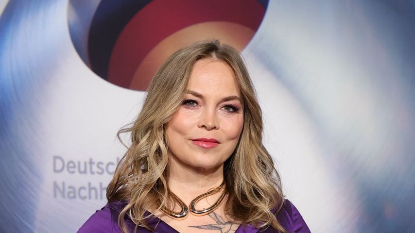 Regina Halmich, Profiboxerin