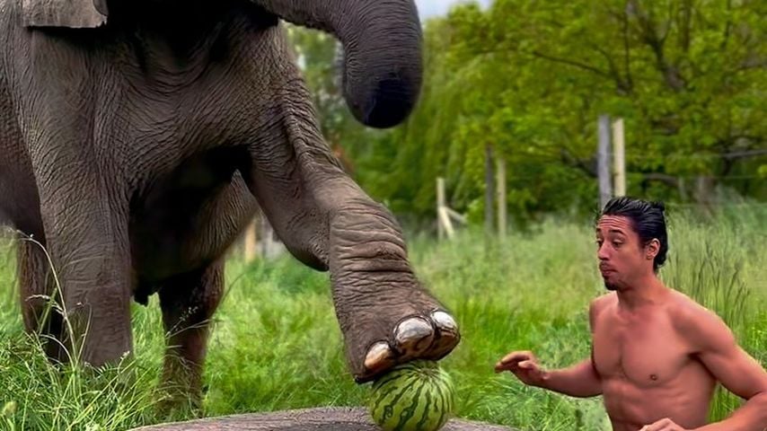 Ninja Warrior René Casselly mit seinem Elefanten