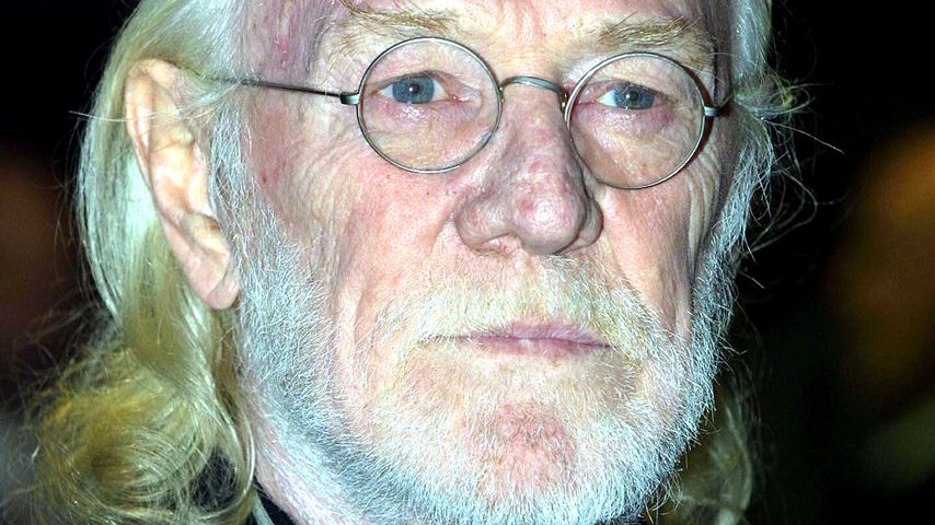 Richard Harris, Schauspieler