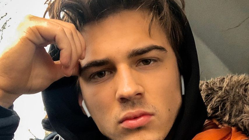 Richard Heinze, Influencer
