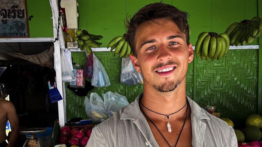 Richard Heinze, Influencer