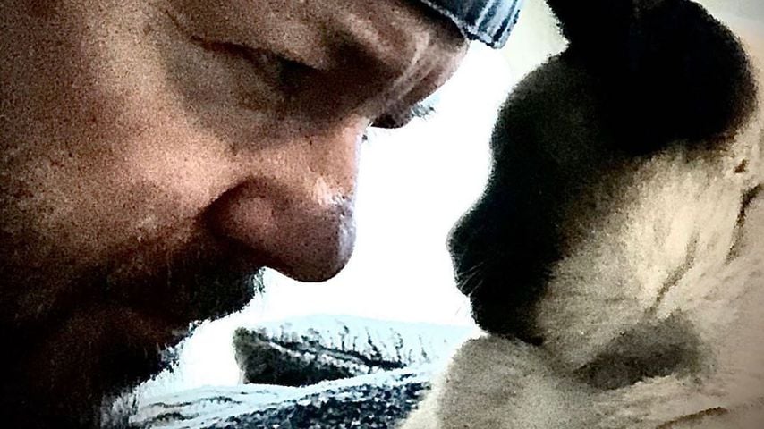 Social-Media-Katze Ollie ist tot: Ricky Gervais trauert