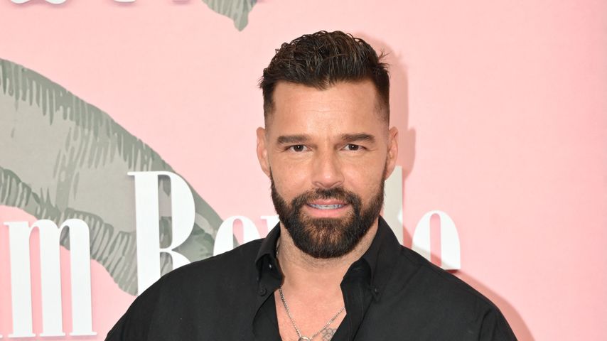 Ricky Martins Söhne wussten nichts vom Fame ihres Papas!