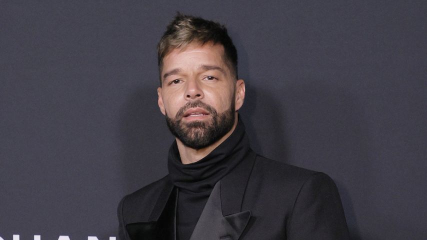 Ricky Martin, Sänger