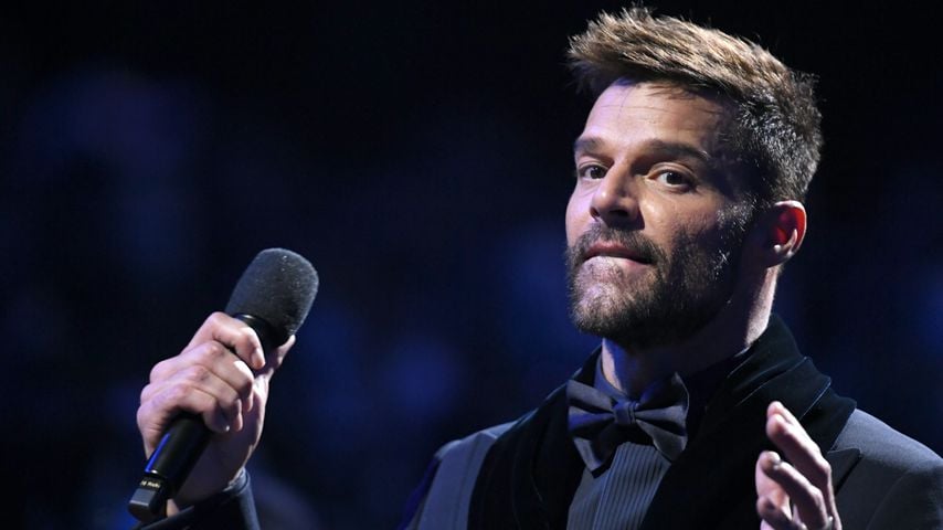 Ricky Martin, Sänger