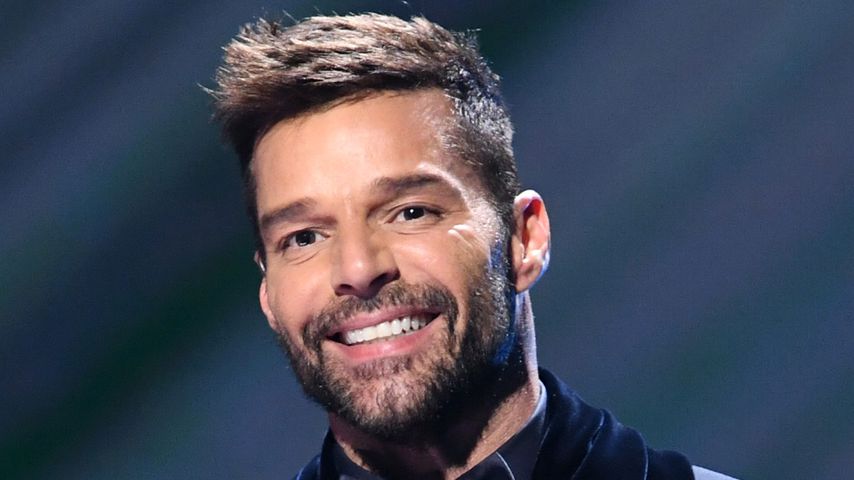 Ricky Martin, Musiker