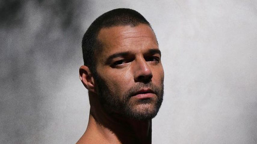 Ricky Martin, Sänger
