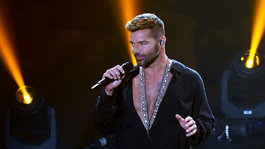 Ricky Martin, Musiker