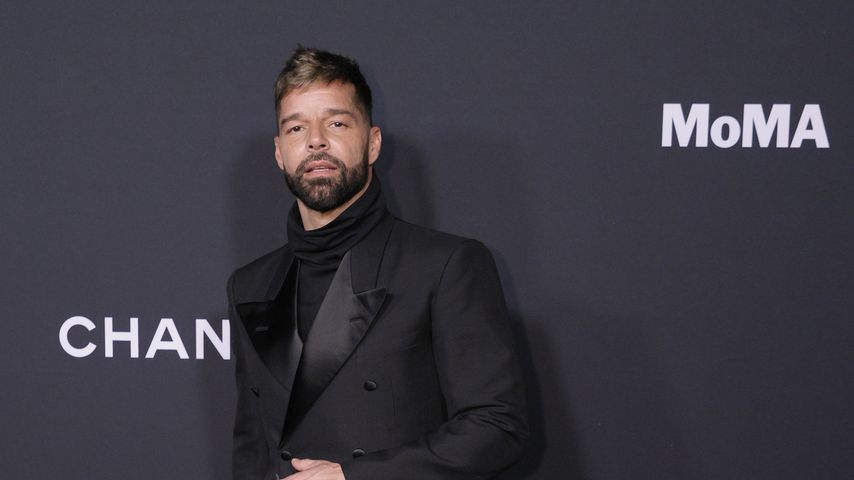 Ricky Martin, Sänger