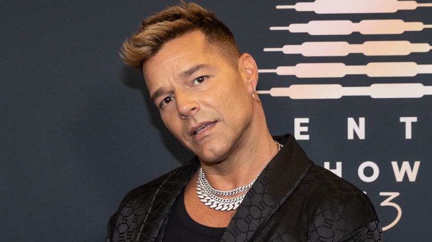 Sänger Ricky Martin