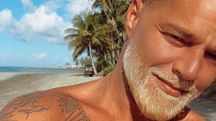 Ricky Martin, Musiker