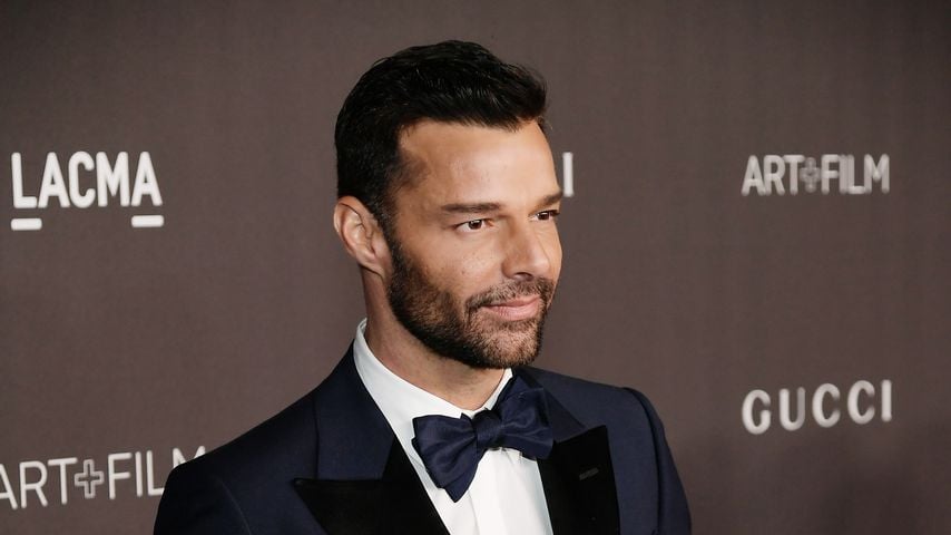 Ricky Martin, Sänger
