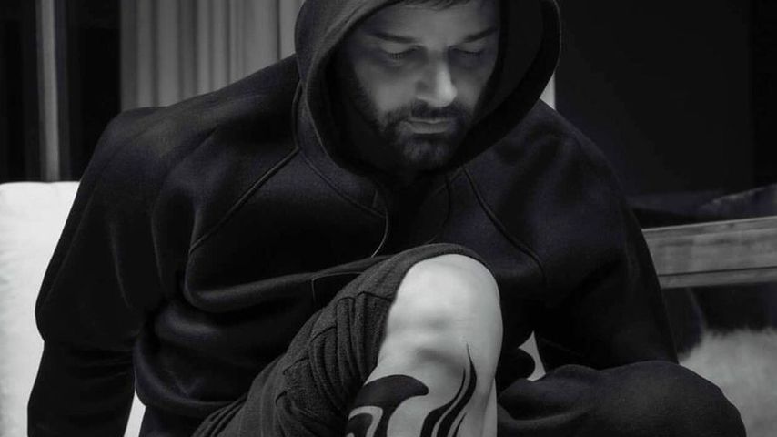 Ricky Martin, Sänger
