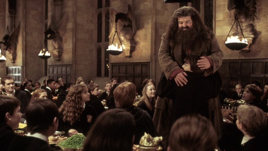 Robbie Coltrane als Hagrid in "Harry Potter und die Kammer des Schreckens"