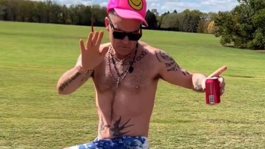 Robbie Williams, Sänger